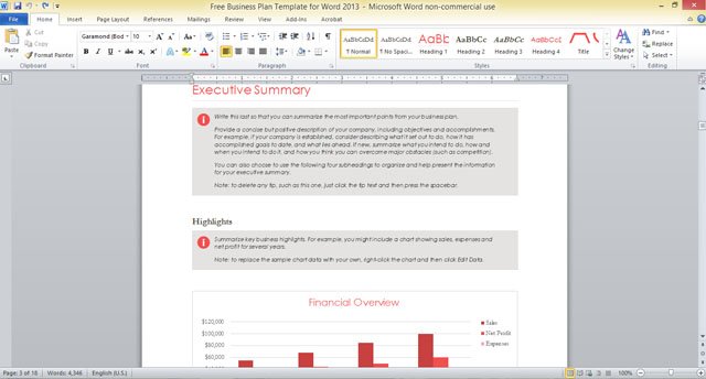 Free Business Plan Template for Word 2013
