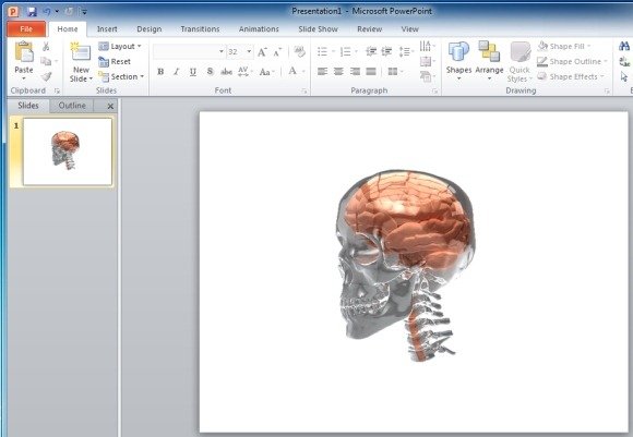 Brain in Glass Skull PowerPoint Animation