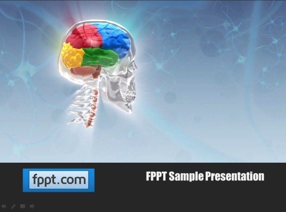 human brain PowerPoint Template