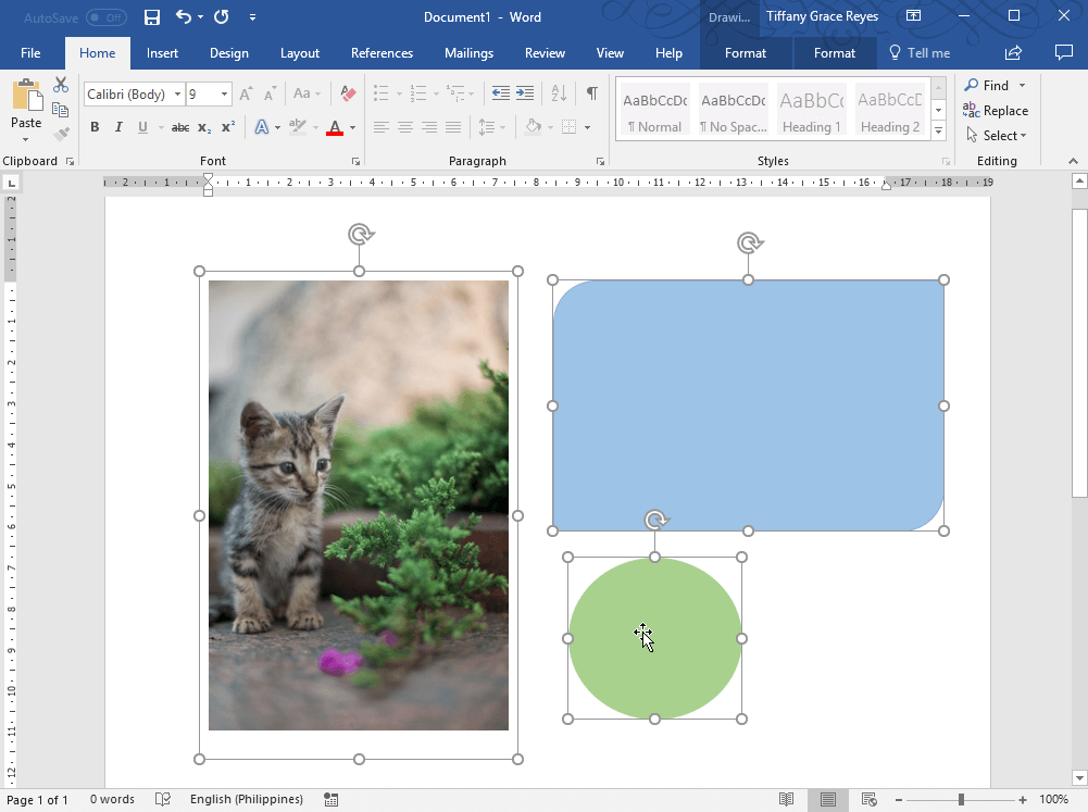 Example of a kitty in a Word document. To group the images in Word, select the objects you want to modify or move.