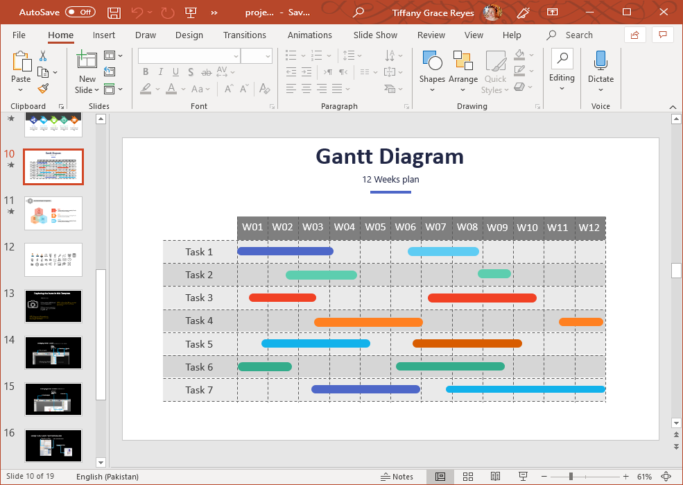 Project Management Gantt Chart