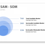 TAM SAM SOM