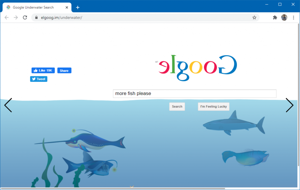 How to Use Google Gravity?
