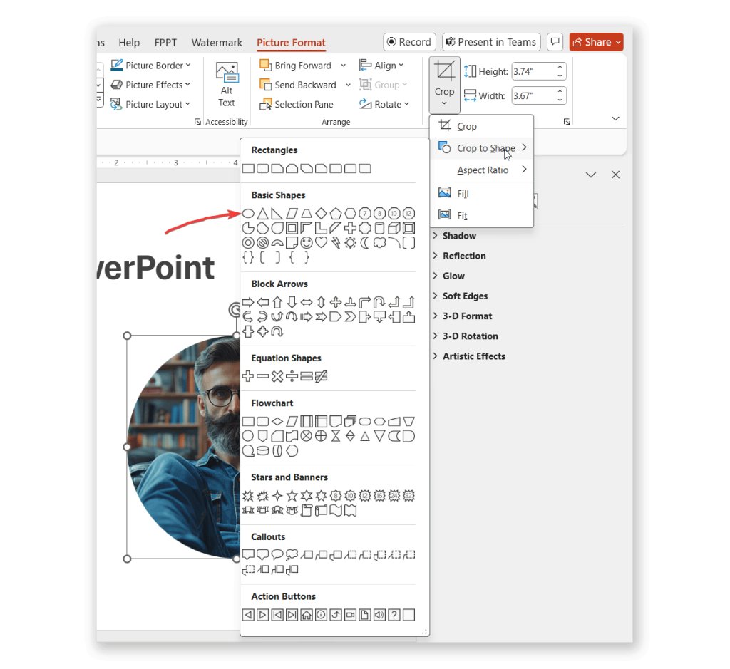 How to crop a picture into a circle in PowerPoint