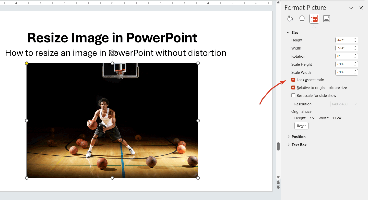 How To Resize An Image In PowerPoint Without Distortion