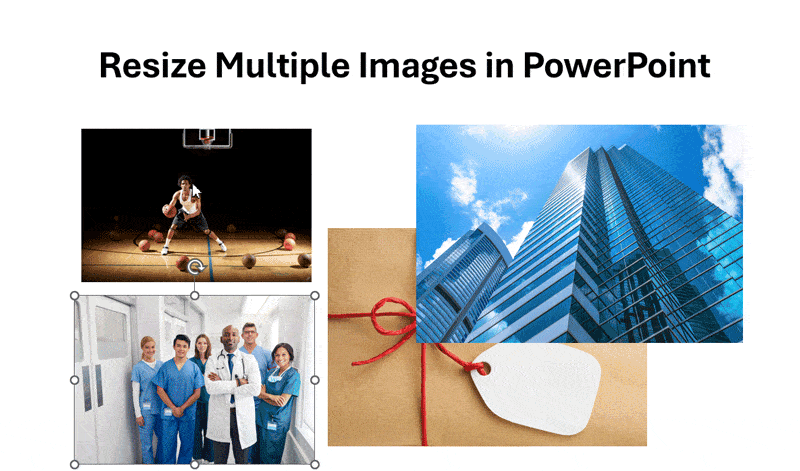 Resizing Multiple Images in PowerPoint