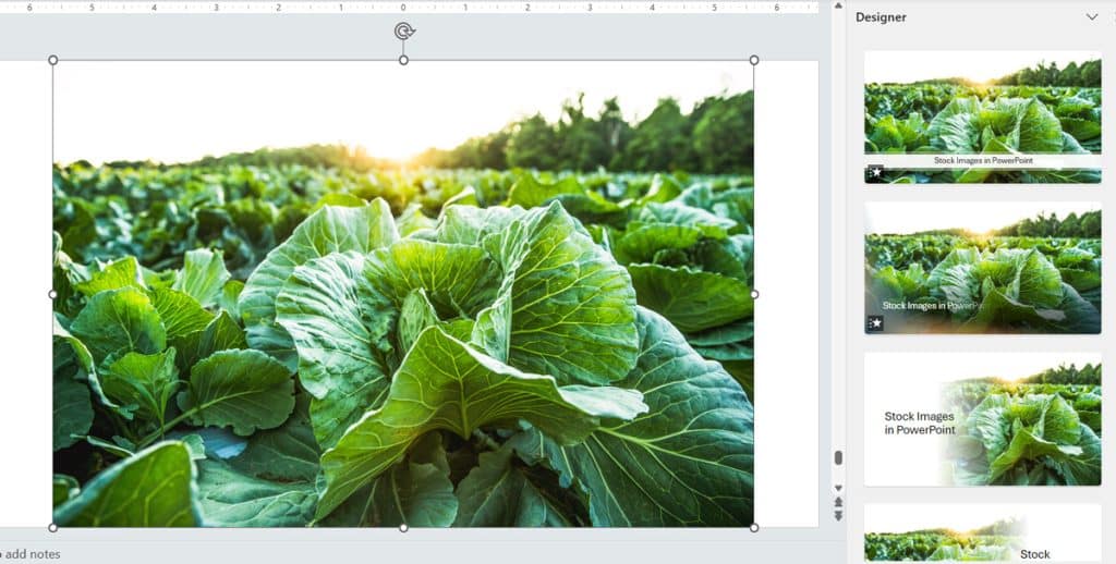 PowerPoint stock images using PowerPoint Designer