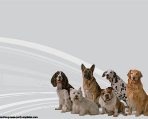 Free Dog Breeds PowerPoint Template
