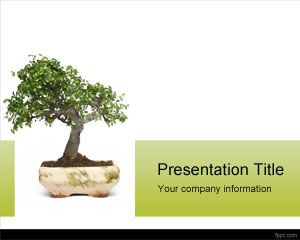 Bonsai PowerPoint Template