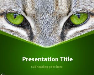 Cat Eyes PowerPoint Template