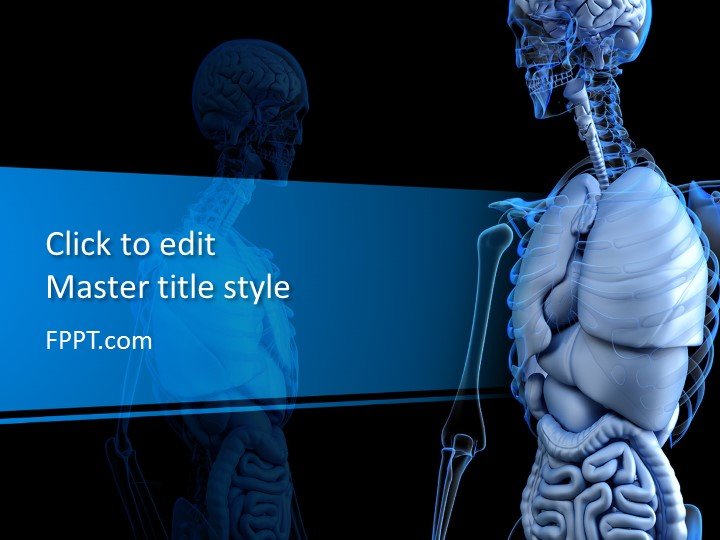 Free Skeleton PowerPoint Templates Free Skeleton PowerPoint Templates