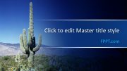 160362-cactus-template-16x9-1