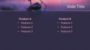 160379-sunset-template-16x9-4