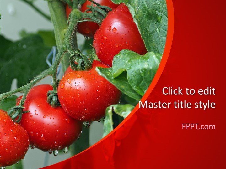 Free Tomato PowerPoint Templates Free Tomato PowerPoint Templates