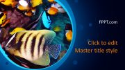 160391-fishes-template-16x9-1