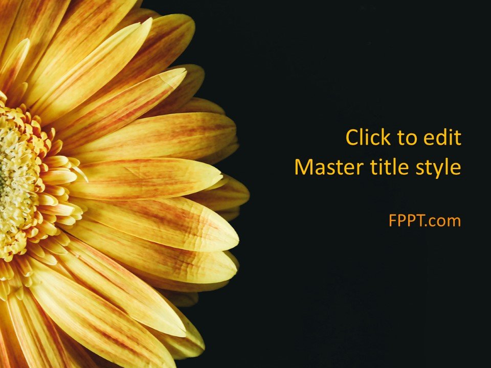 Free Sunflower PowerPoint Templates Free Sunflower PowerPoint Templates