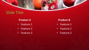 160600-christmas-template-16x9-4