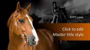 161240-horse-template-16x9-1