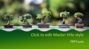 161882-bonsai-template-16x9-1